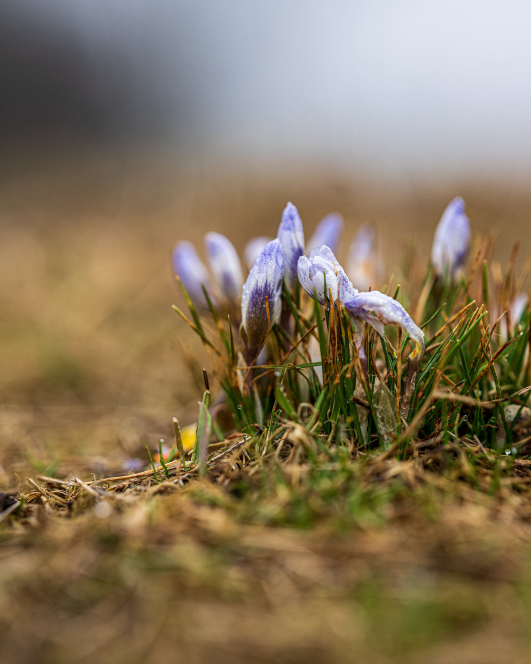 Two people enjoying hot chocolate